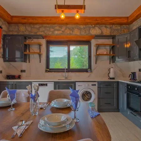 Vaveyla Villa
